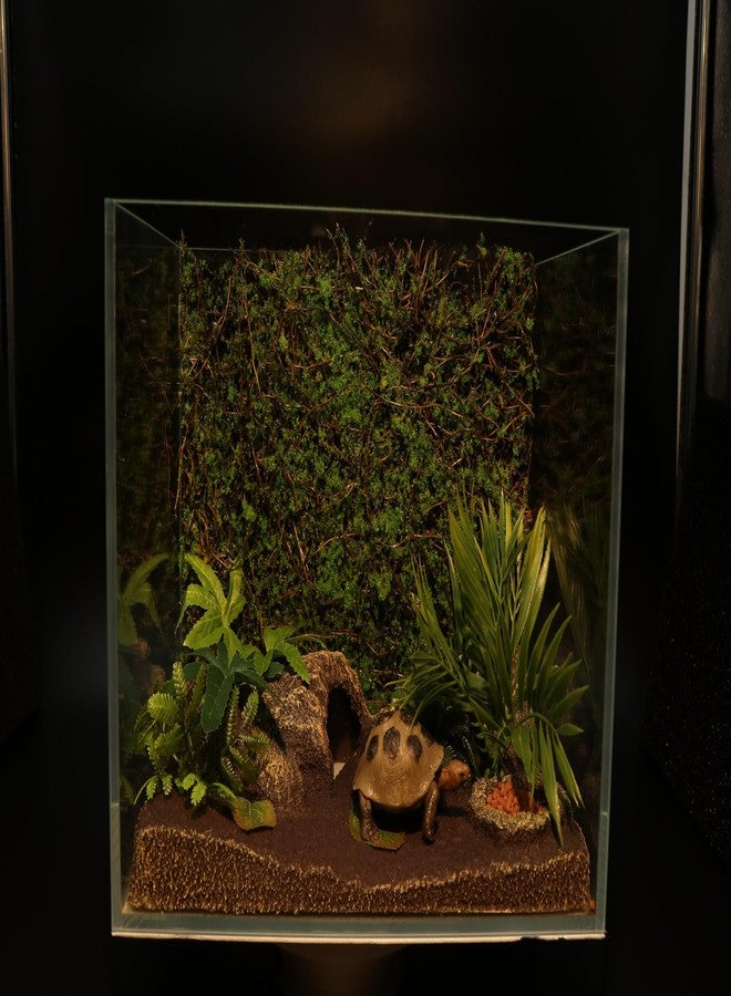 AQUA KT Reptile Moss Background Backdrop Wall Artificial Terrarium Habitat Amphibian Cage Decoration for Lizard Bearded Dragon Snake Tree Frog Chameleon Climbing, Pack of 4 - Image 3